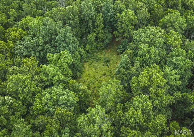 Homes for sale in Marble Hill, MO | 0 Tbd Hwy 51, Marble Hill, MO 63764 | MLS# MIS26031365