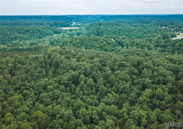 Homes for sale in Marble Hill, MO | 0 Tbd Hwy 51, Marble Hill, MO 63764 | MLS# MIS26031365