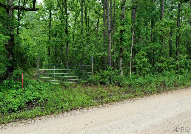 Homes for sale in Salem, MO | 7183 County Road 5600, Salem, MO 65560 | MLS# MIS26031561