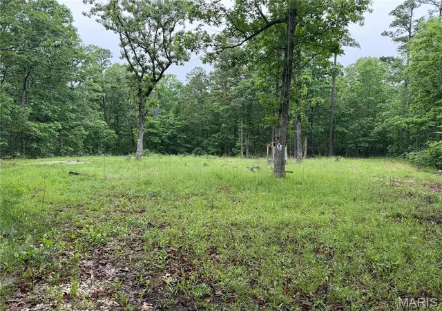 Homes for sale in Salem, MO | 7183 County Road 5600, Salem, MO 65560 | MLS# MIS26031561