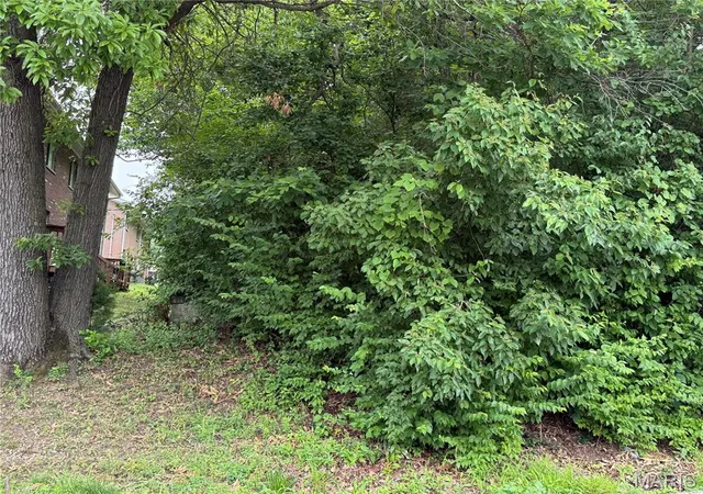 Photo 3 of Land for sale at 2454 Prouhet Ave, Saint Louis, MO 63114 | MLS# MIS26031662 | Listing updated on 2026-06-15