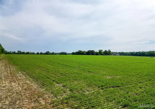 3rd image of 27248 Stamer Rd, Wright City, MO 63390 | MLS# MIS26031667