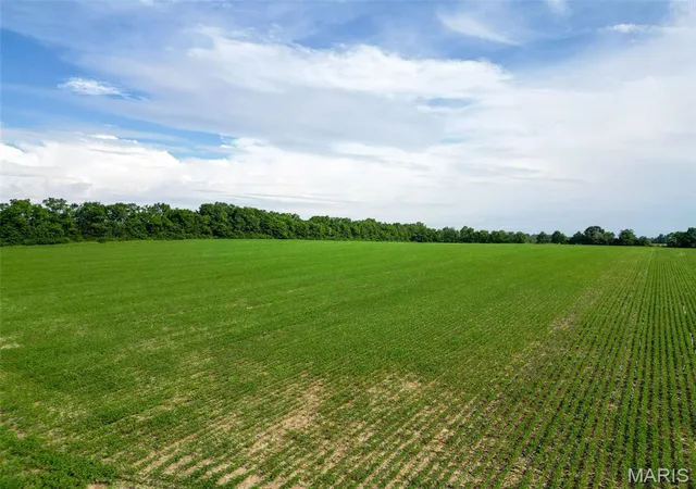 4th image of 27248 Stamer Rd, Wright City, MO 63390 | MLS# MIS26031667