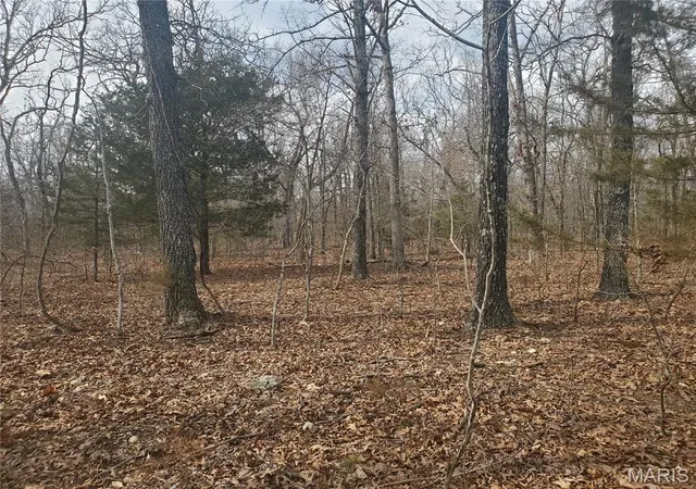 Homes for sale in Laquey, MO | 0 S Hwy 17, Laquey, MO 65534 | MLS# MIS26031682