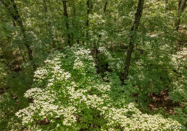Photo 4 of Land for sale at 2625 Grendel Dr, Wright City, MO 63390 | MLS# MIS26031726 | Listing updated on 2026-05-20