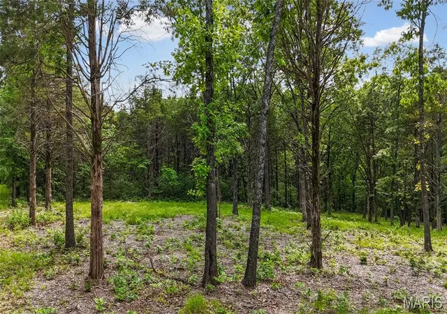 Homes for sale in Dittmer, MO | 299 Whitetail Rdg, Dittmer, MO 63023 | MLS# MIS26031737