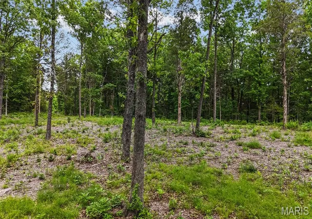 Homes for sale in Dittmer, MO | 299 Whitetail Rdg, Dittmer, MO 63023 | MLS# MIS26031737