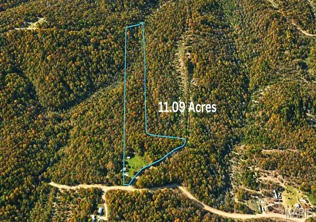 Homes for sale in Potosi, MO | 10615 High Top Rd, Potosi, MO 63664 | MLS# MIS26031866