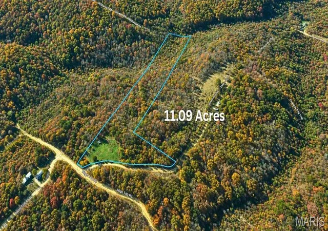 Homes for sale in Potosi, MO | 10615 High Top Rd, Potosi, MO 63664 | MLS# MIS26031866