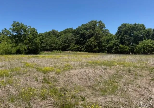 2nd image of 1775 County Road 575, Fisk, MO 63940 | MLS# MIS26032211