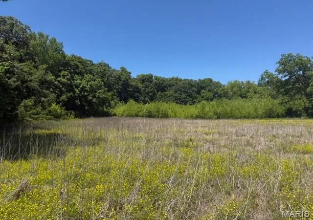 Photo 3 of Land for sale at 1775 County Road 575, Fisk, MO 63940 | MLS# MIS26032211 | Listing updated on 2026-06-17