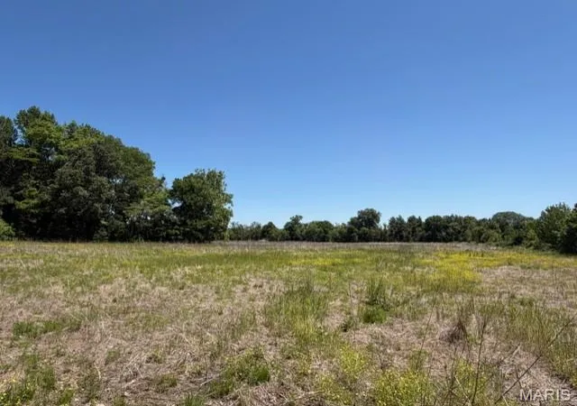 Photo 3 of Land for sale at 1775 County Road 575, Fisk, MO 63940 | MLS# MIS26032211 | Listing updated on 2026-06-17