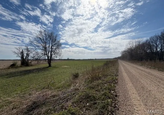 Photo 4 of Land for sale at 1775 County Road 575, Fisk, MO 63940 | MLS# MIS26032211 | Listing updated on 2026-06-17