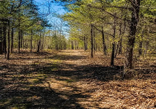 4th image of 1 142E, Doniphan, MO 63935 | MLS# MIS26032345