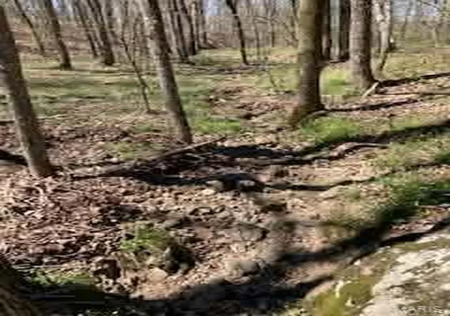 5th image of 1 142E, Doniphan, MO 63935 | MLS# MIS26032345
