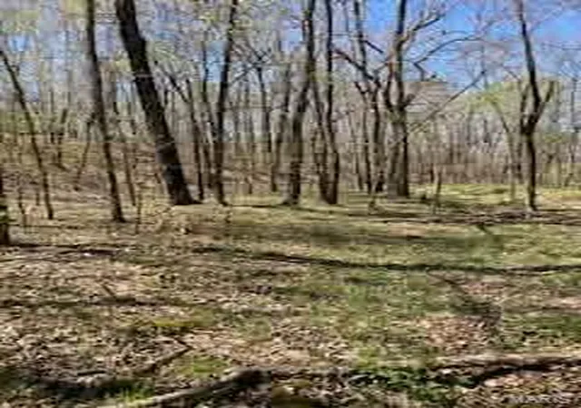 6th image of 1 142e, Doniphan, MO 63935 | MLS# MIS26032345