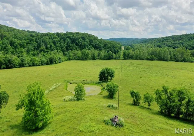 Homes for sale in Salem, MO | 11889 County Road 264a, Salem, MO 65560 | MLS# MIS26032557