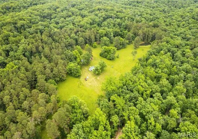 Homes for sale in Marquand, MO | Private Rd 9302, Marquand, MO 63655 | MLS# MIS26032564