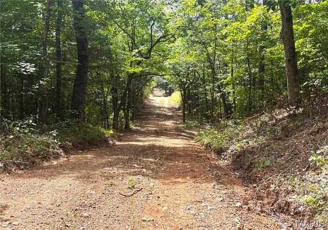 55th image of Private Rd 9302, Marquand, MO 63655 | MLS# MIS26032564