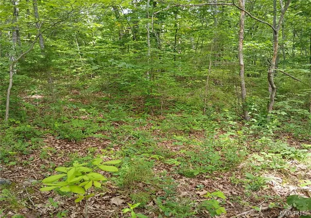 Photo 3 of Land for sale at Lot 3113 Quincy, Bismarck, MO 63624 | MLS# MIS26032573 | Listing updated on 2026-05-25