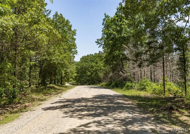 Homes for sale in Bonne Terre, MO | 0 Verdun Pl, Bonne Terre, MO 63628 | MLS# MIS26032713
