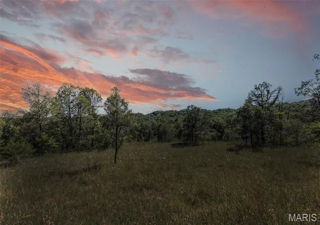 1st image of 43 Acres +/  Recreational/ Hunting Ground, Dittmer, MO 63023 | MLS# MIS26032972