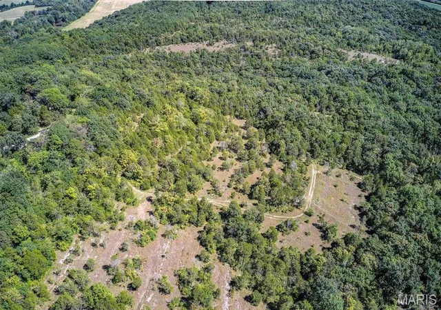 13th image of 43 Acres +/  Recreational/ Hunting Ground, Dittmer, MO 63023 | MLS# MIS26032972