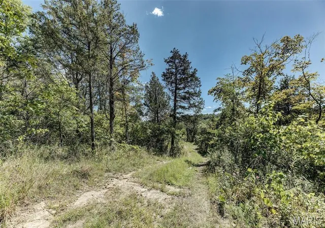 Photo 3 of Sale Pending at 43 Acres +/  Recreational/ Hunting Ground, Dittmer, MO 63023 | MLS# MIS26032972 | Listing updated on 2026-10-06