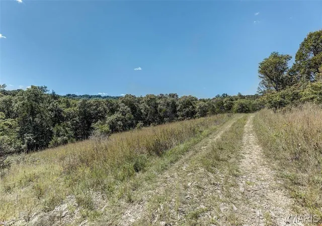 Photo 3 of Sale Pending at 43 Acres +/- Recreational/ Hunting Ground, Dittmer, MO 63023 | MLS# MIS26032972 | Listing updated on 2026-10-06