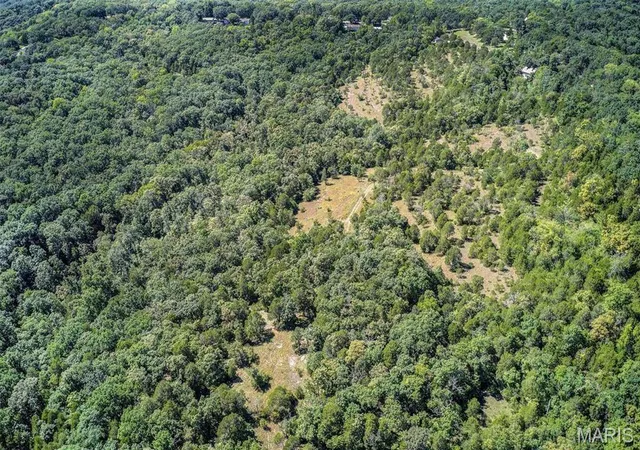 Photo 4 of Sale Pending at 43 Acres +/- Recreational/ Hunting Ground, Dittmer, MO 63023 | MLS# MIS26032972 | Listing updated on 2026-10-06