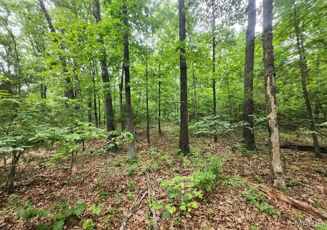 Homes for sale in Hartville, MO | 5853 M- Missouri 5, Hartville, MO 65667 | MLS# MIS26033065