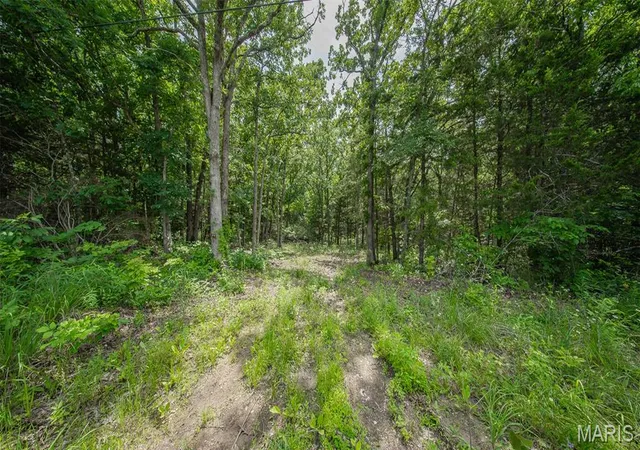 4th image of 0 County Road 8240, Rolla, MO 65401 | MLS# MIS26033328