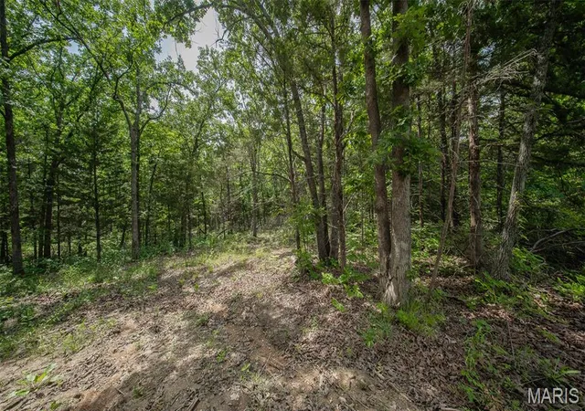 5th image of 0 County Road 8240, Rolla, MO 65401 | MLS# MIS26033328