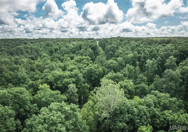 2nd image of 511 County Road 6575, Salem, MO 65560 | MLS# MIS26033361