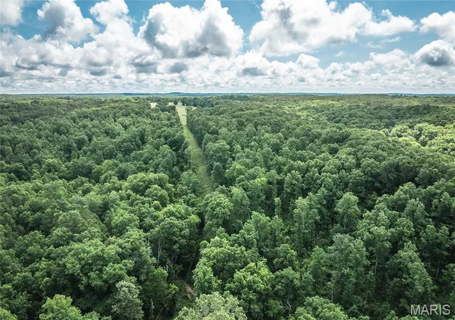4th image of 511 County Road 6575, Salem, MO 65560 | MLS# MIS26033361
