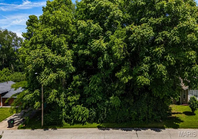 Homes for sale in Fairview Heights, IL | 0 Montclair, Fairview Heights, IL 62208 | MLS# MIS26033415