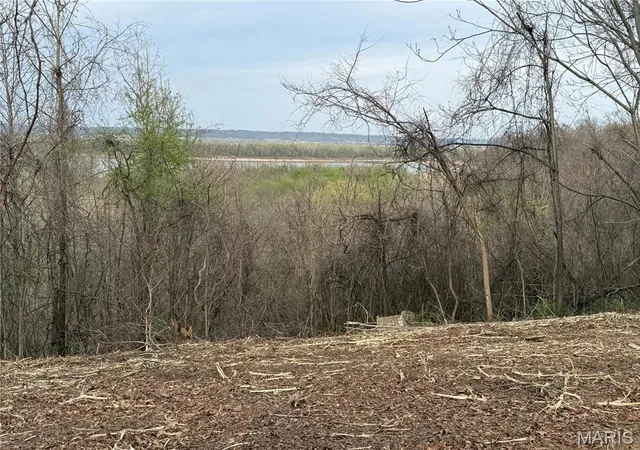 2nd image of 11365 River Hills Rd, Festus, MO 63028 | MLS# MIS26033536