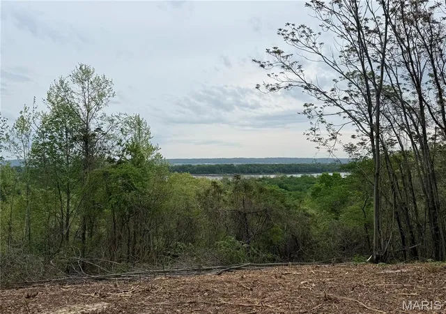 3rd image of 11365 River Hills Rd, Festus, MO 63028 | MLS# MIS26033536