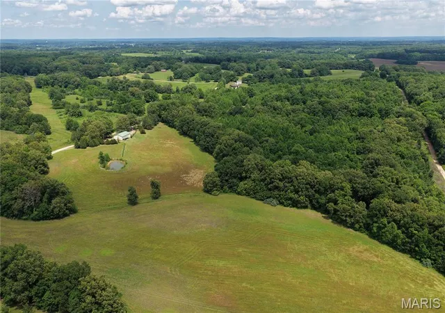 Homes for sale in Puxico, MO | 4110 County Road 290, Puxico, MO 63960 | MLS# MIS26033596