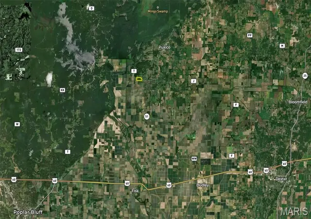 Homes for sale in Puxico, MO | 4110 County Road 290, Puxico, MO 63960 | MLS# MIS26033596