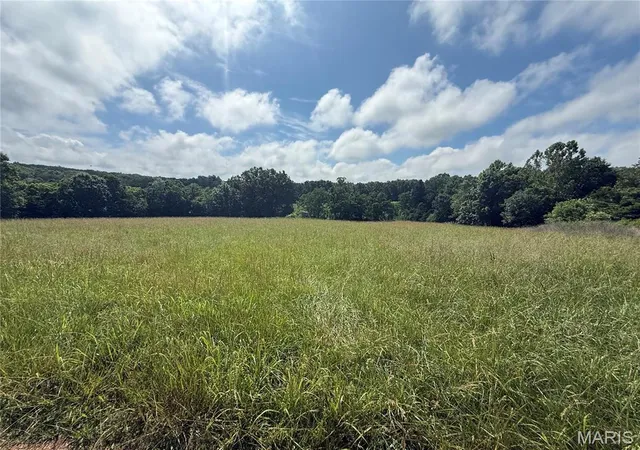 Homes for sale in Rosebud, MO | 0000 Pumpstation Rd, Rosebud, MO 63091 | MLS# MIS26033651