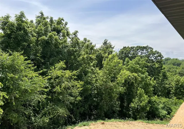 Photo 37 of Single family home for sale at 705 Mcintosh Ct, Hannibal, MO 63401 | MLS# MIS26033803 | Listing updated on 2026-10-13