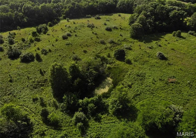 Photo 3 of Sale Pending at 0 E Fairfield Rd, Bluford, IL 62814 | MLS# MIS26033911 | Listing updated on 2026-09-14