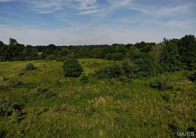 Photo 8 of Sale Pending at 0 E Fairfield Rd, Bluford, IL 62814 | MLS# MIS26033911 | Listing updated on 2026-09-14