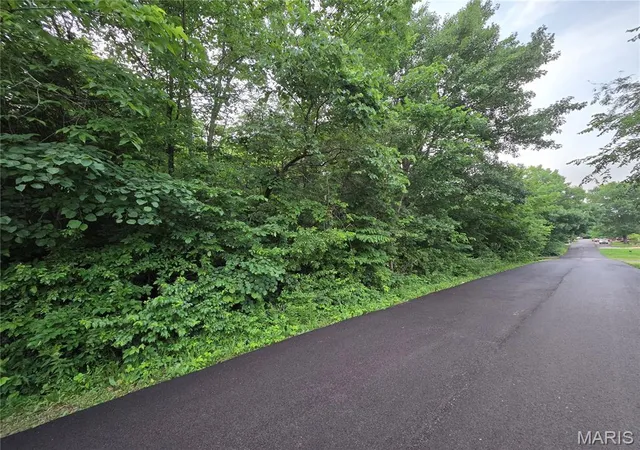 Photo 1 of Land for sale at 0 W Lakeview Dr, De Soto, MO 63020 | MLS# MIS26033981 | Listing updated on 2026-05-30