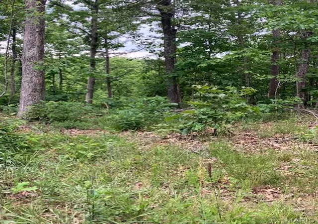 Photo 3 of Land for sale at 239 Madison Cr 410, Fredericktown, MO 63645 | MLS# MIS26034106 | Listing updated on 2026-06-01