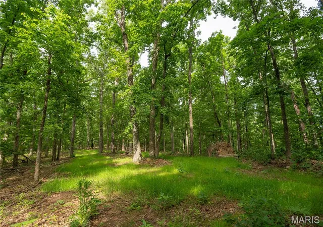 Homes for sale in Piedmont, MO | Tbd Wayne, Piedmont, MO 63957 | MLS# MIS26034160