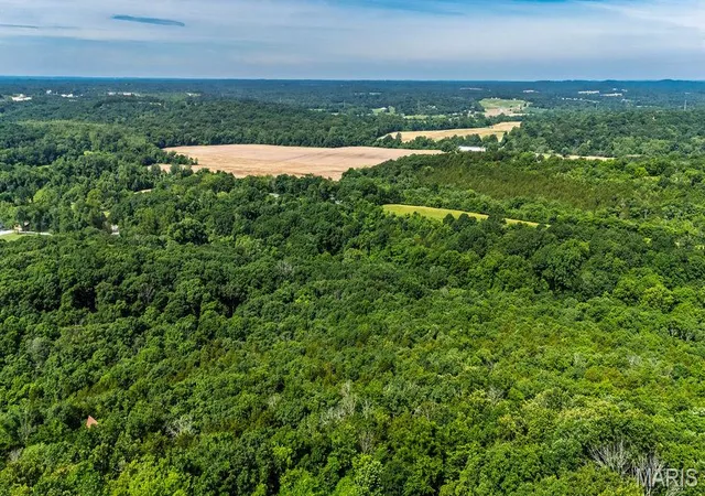 Homes for sale in Pevely, MO | 8895 Moss Hollow Rd, Pevely, MO 63070 | MLS# MIS26034471