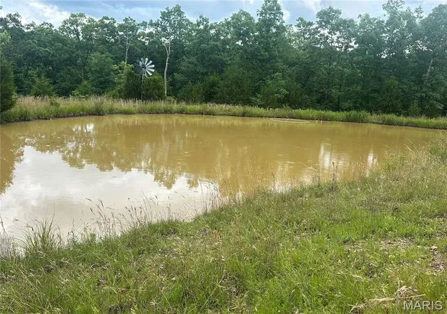 36th image of 19940 County Road 4450, Salem, MO 65560 | MLS# MIS26034510
