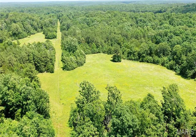 1st image of 0 Cr 5400, Salem, MO 65560 | MLS# MIS26034580